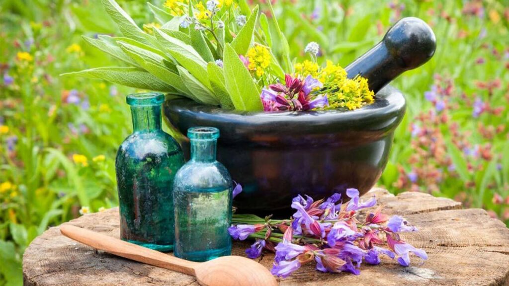 خواص شربت کاسنی برای بدن